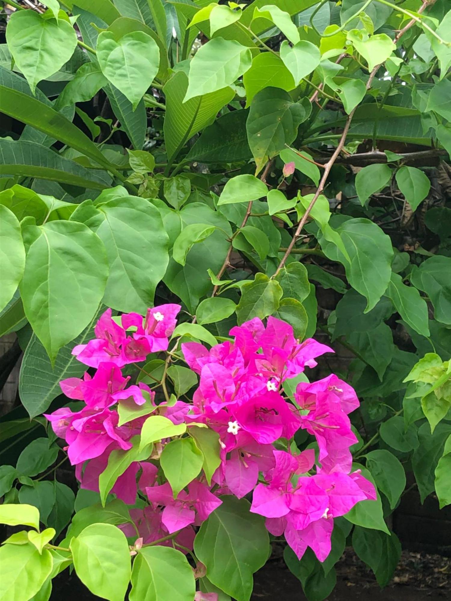 Villa Kelana 시데멘 외부 사진